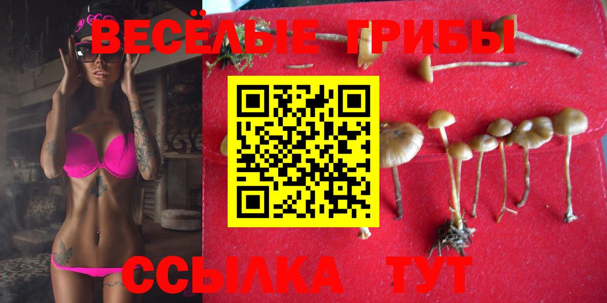 Псилоцибиновые грибы MAGIC MUSHROOMS  Галлюциногенные грибы Psilocybe  Вход с VPN  Верхняя Салда 