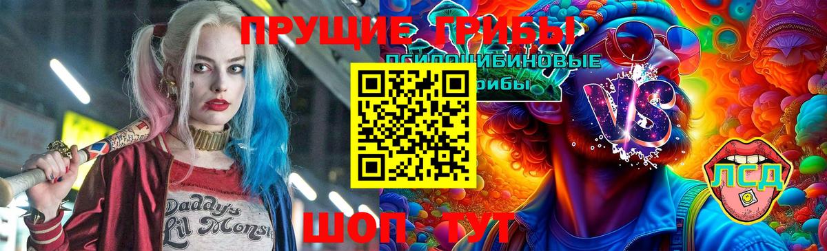 Псилоцибиновые грибы Psilocybine cubensis Верхняя Салда